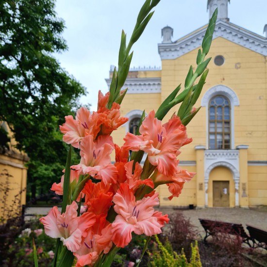 Sveicam 1. septembrī!